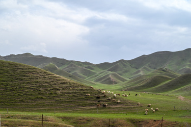中国新疆昌吉天然牧场