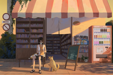 老书店的门口，夕阳西下男孩在和猫玩耍