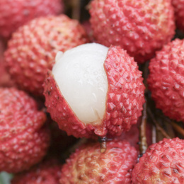 手里拿着桂味荔枝