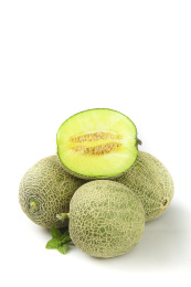 白底上的网纹蜜瓜