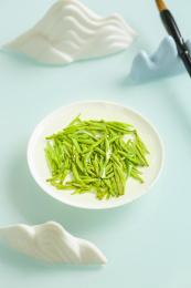 明前雀舌茶叶冲泡