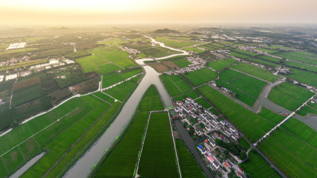 远眺上海松江一个农村的清晨