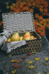 黄色的大鸭梨摆放在果篮中