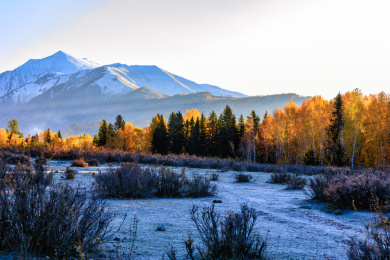 中国新疆深秋初冬季节更替雪山丛林秋色风光