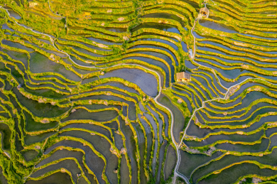 丽水云和梯田风景区白银谷坑根村古村落
