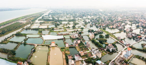 中国江门市鹤山市华侨城古劳水乡旅游区