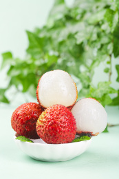 浅底上的桂味荔枝