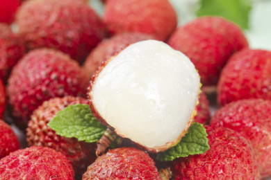 浅底上的桂味荔枝