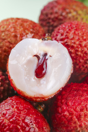 浅底上的桂味荔枝