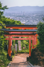 日本京都伏见稻荷大社中鸟居的风光