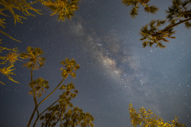 非洲肯尼亚草原上的银河星