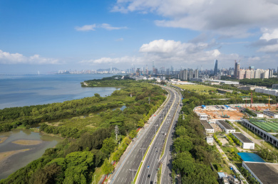 深圳滨海大道红树林绿色环保蓝天白云车流