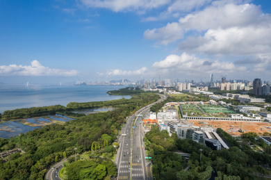 深圳滨海大道红树林绿色环保蓝天白云车流