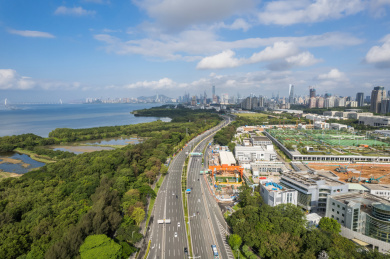 深圳滨海大道红树林绿色环保蓝天白云车流