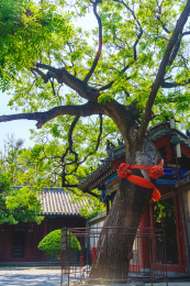 夏天的山东烟台蓬莱阁景区风光，天后宫