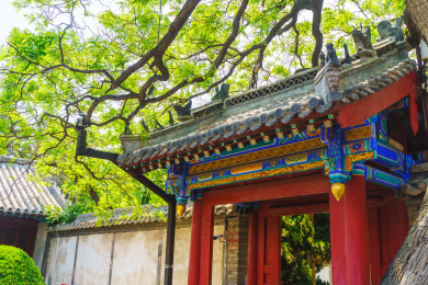 夏天的山东烟台蓬莱阁景区风光，天后宫