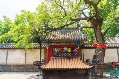 夏天的山东烟台蓬莱阁景区风光，天后宫