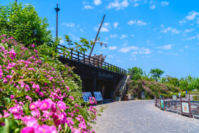 中国湖北崇阳柃蜜小镇景区的花纸伞_站酷海洛_正版图片_视频_字体
