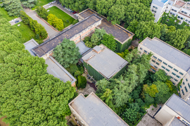 爬墙虎覆盖老房子外墙垂直绿化藤蔓夏日景观