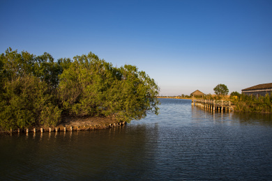 山东东营市黄河口生态旅游区湿地