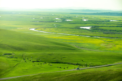 内蒙古呼伦贝尔草原牧场风光