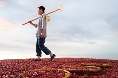 农民从红辣椒地上走过