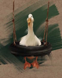 搞笑的鸭子