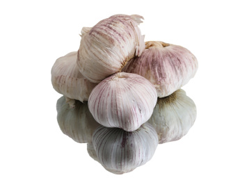 美食大蒜的白底图