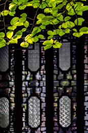 上海嘉定汇龙潭公园江南园林自然建筑景观