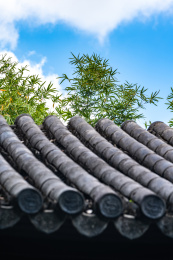 上海嘉定汇龙潭公园江南园林自然建筑景观