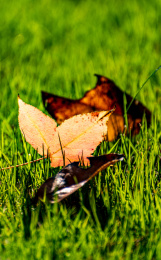 上海汽车博览公园上海嘉定安亭汽车博物馆