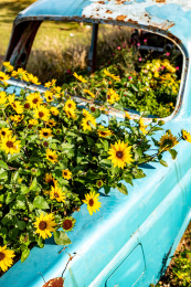 上海汽车博览公园上海嘉定安亭汽车博物馆