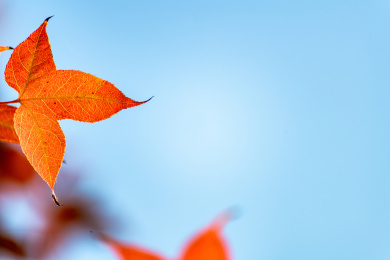 上海汽车博览公园上海嘉定安亭汽车博物馆