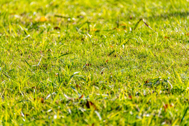 上海汽车博览公园上海嘉定安亭汽车博物馆