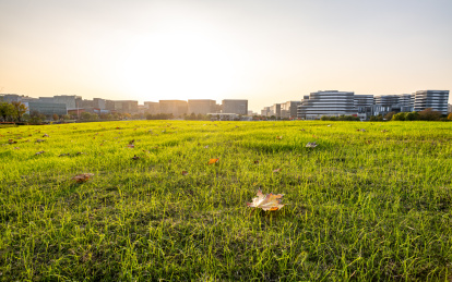 上海闵行文化公园自然建筑日落景观