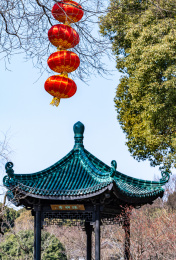 江苏无锡梅园早春景观