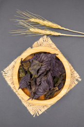 黑背景中药材干紫苏