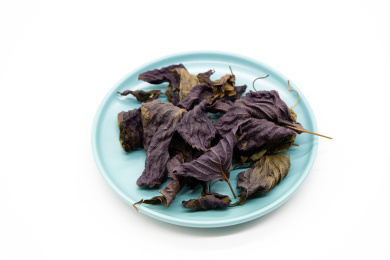 白背景中药材干紫苏