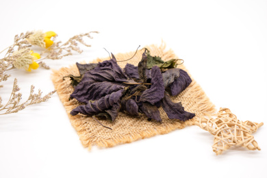 白背景中药材干紫苏