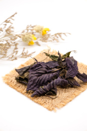 白背景中药材干紫苏