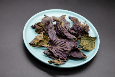 黑背景中药材干紫苏