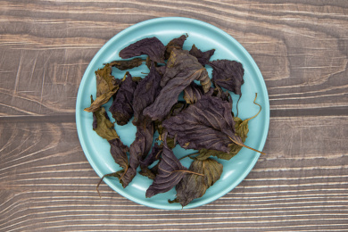 木桌背景中药材干紫苏