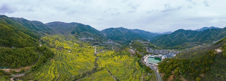 浙江绍兴覆栀山盛开的油菜花