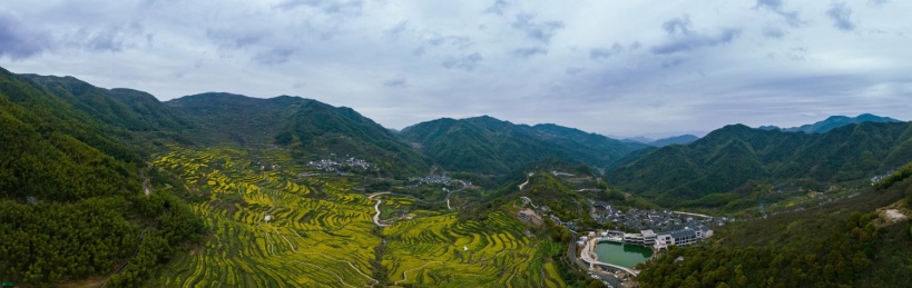 浙江绍兴覆栀山盛开的油菜花