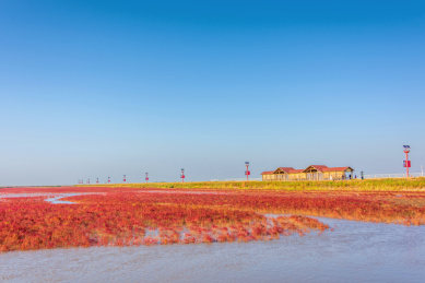 中国辽宁盘锦红海滩国家风景廊道