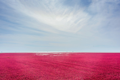 中国辽宁盘锦红海滩国家风景廊道