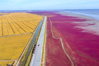 中国辽宁盘锦红海滩国家风景廊道