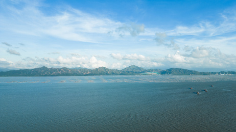 中国深圳湾自然风光