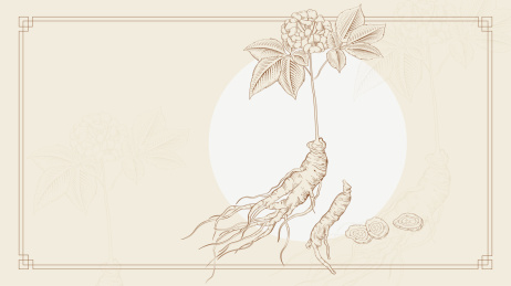 古风人参线稿钢笔画