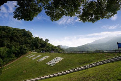 杭州市西湖区转塘街道何家村